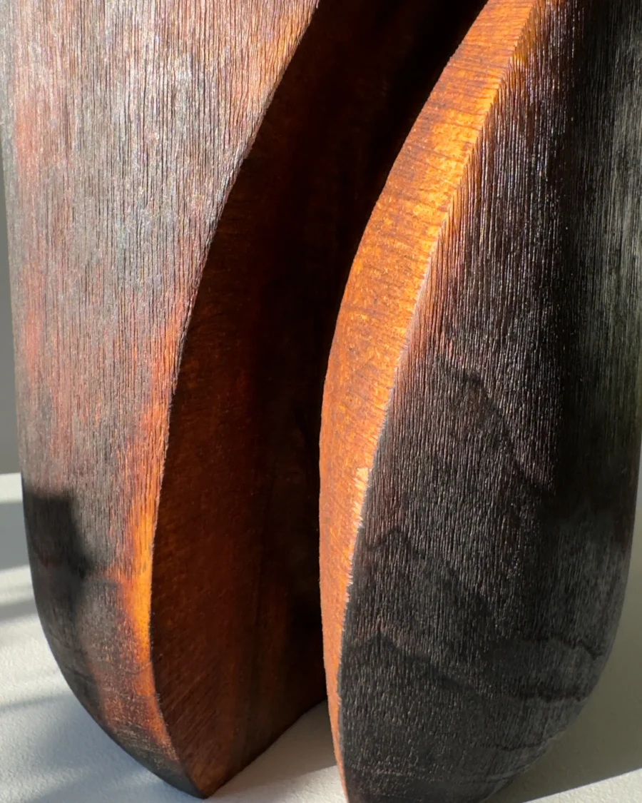Abstract hand carved wood vessel made from solid walnut with charred surface detail