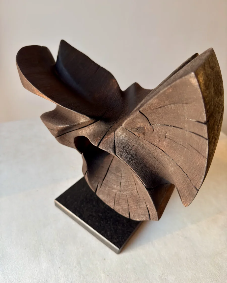 trace-of-fire-asymmetrical-form-front Side angle of hand-carved walnut sculpture “Trace of Fire” revealing layered organic curves and dark matte finish.