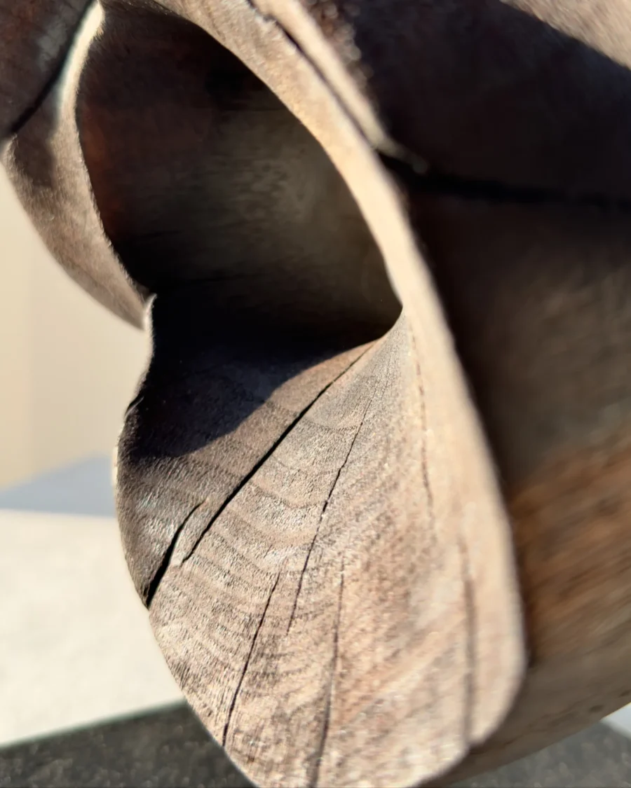 trace-of-fire-black-wood-texture Macro detail of the sculptural opening in “Trace of Fire” showing smooth carved walnut surface and soft shadow transitions.
