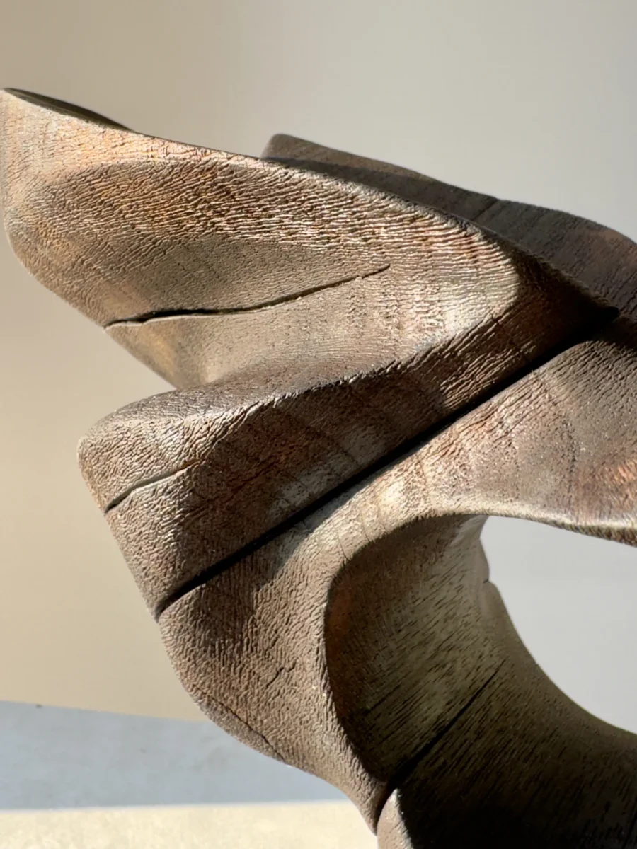 trace-of-fire-burned-walnut-detail Close-up texture detail of burned walnut wood sculpture “Trace of Fire” with visible grain, cracks, and reflected warm light.