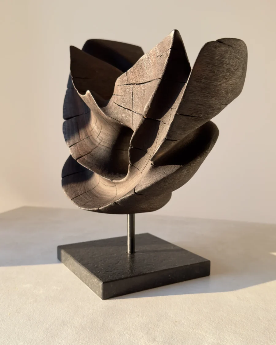 trace-of-fire-contemporary-sculpture Side profile of “Trace of Fire” hand-carved walnut sculpture with layered flowing shapes and warm sunlight reflections.