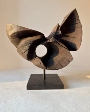 trace-of-fire-walnut-sculpture-in-hand-sunlight Hand-carved walnut wood sculpture “Trace of Fire” held in hands in warm sunlight, abstract organic form with natural cracks and circular opening.