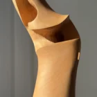 Close-up of sculptural wood texture and natural grain patterns