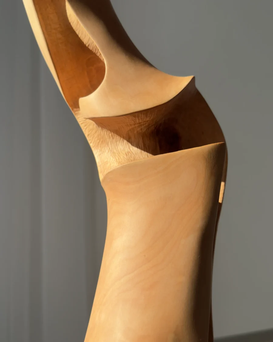 Close-up of sculptural wood texture and natural grain patterns