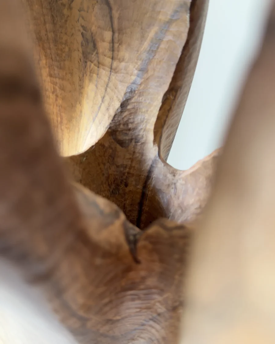 dualis-walnut-vase-interior-closeup Close-up of the interior cavity of the hand-carved walnut vase illuminated by natural light.