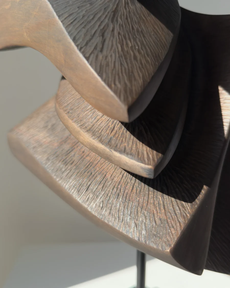 Close-up of carved grain and textured surfaces on Shaped by Silence apple wood sculpture.