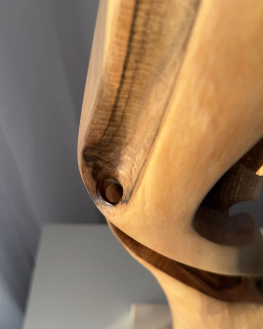 silent-axis-walnut-grain-detail Close-up of Silent Axis sculpture highlighting natural walnut grain and smooth hand carved surface