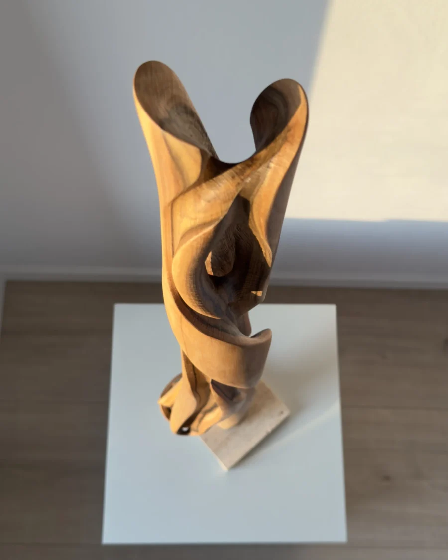 silent-axis-walnut-sculpture-top-view Top view of Silent Axis hand carved walnut wood sculpture revealing flowing openings and organic interior forms