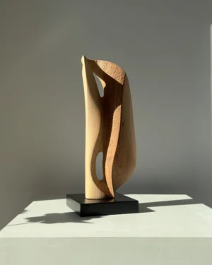 veil-of-air-modern-wood-art Veil of Air hand carved apple wood sculpture on black beech base in natural sunlight