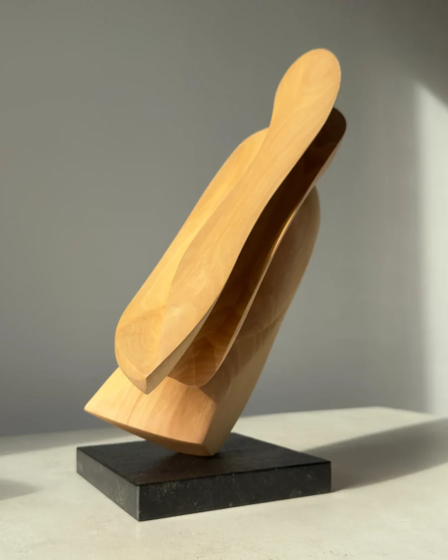 Left side view of the hand-carved apple wood sculpture revealing the relationship between solid form and open space.