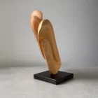 Right side view of the original apple wood sculpture with smooth flowing surfaces and changing light.