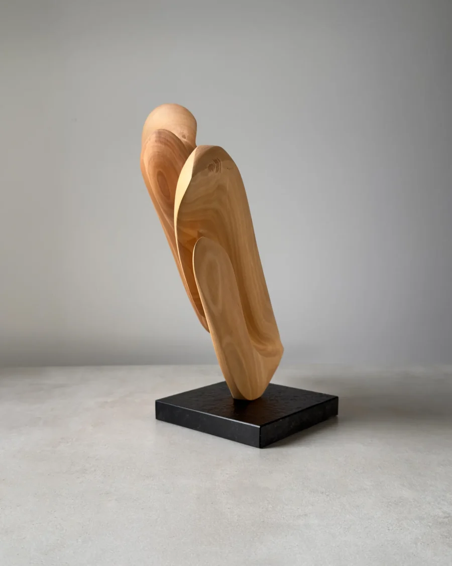 Right side view of the original apple wood sculpture with smooth flowing surfaces and changing light.