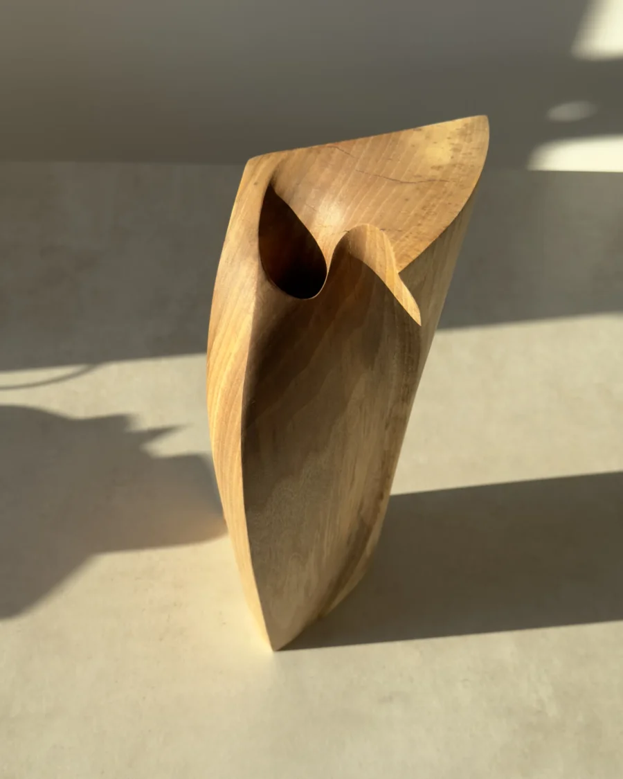 Close elevated view of Continuum showing the carved opening and the meeting of curved and angular planes.