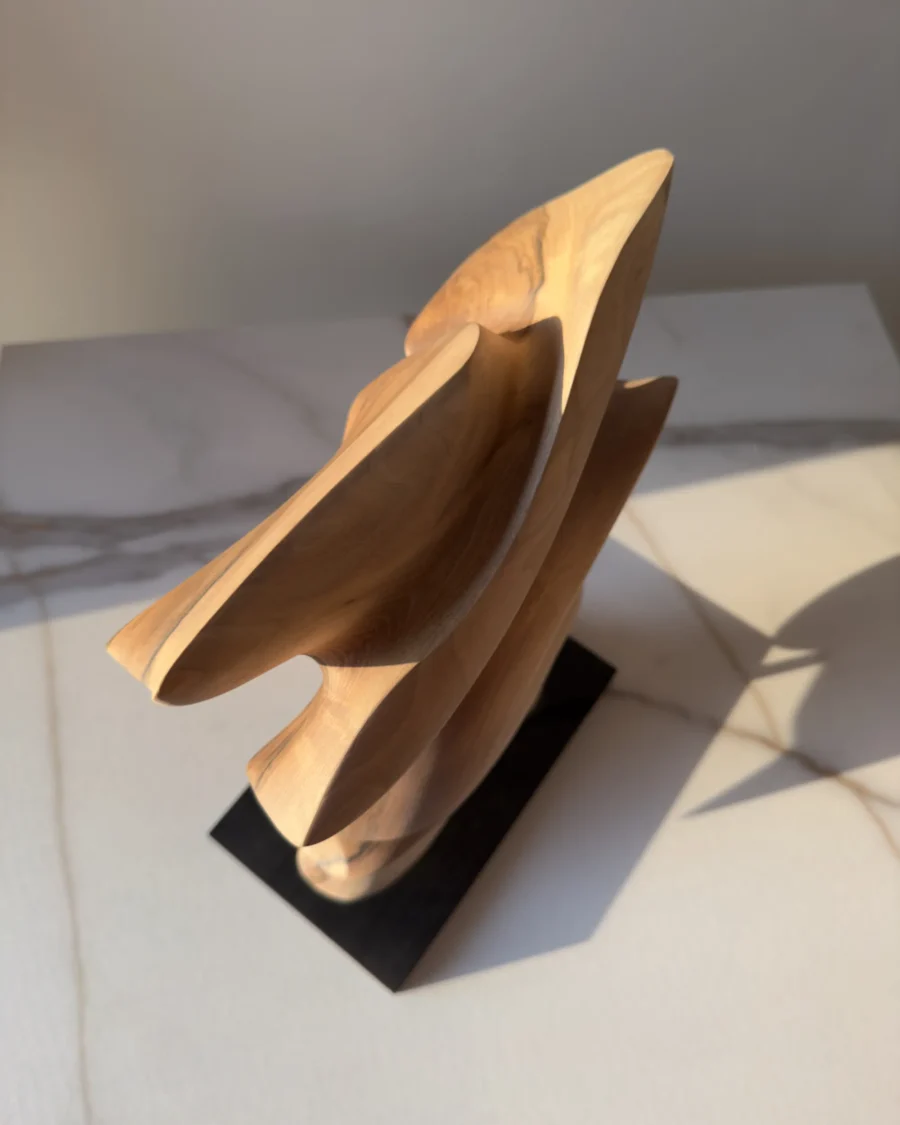 Top view of Fluens, a hand-carved abstract walnut wood sculpture with layered organic forms illuminated by warm natural light.