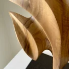 Detail of Folded Presence showing flowing carved surfaces, natural walnut grain and sculptural folds.