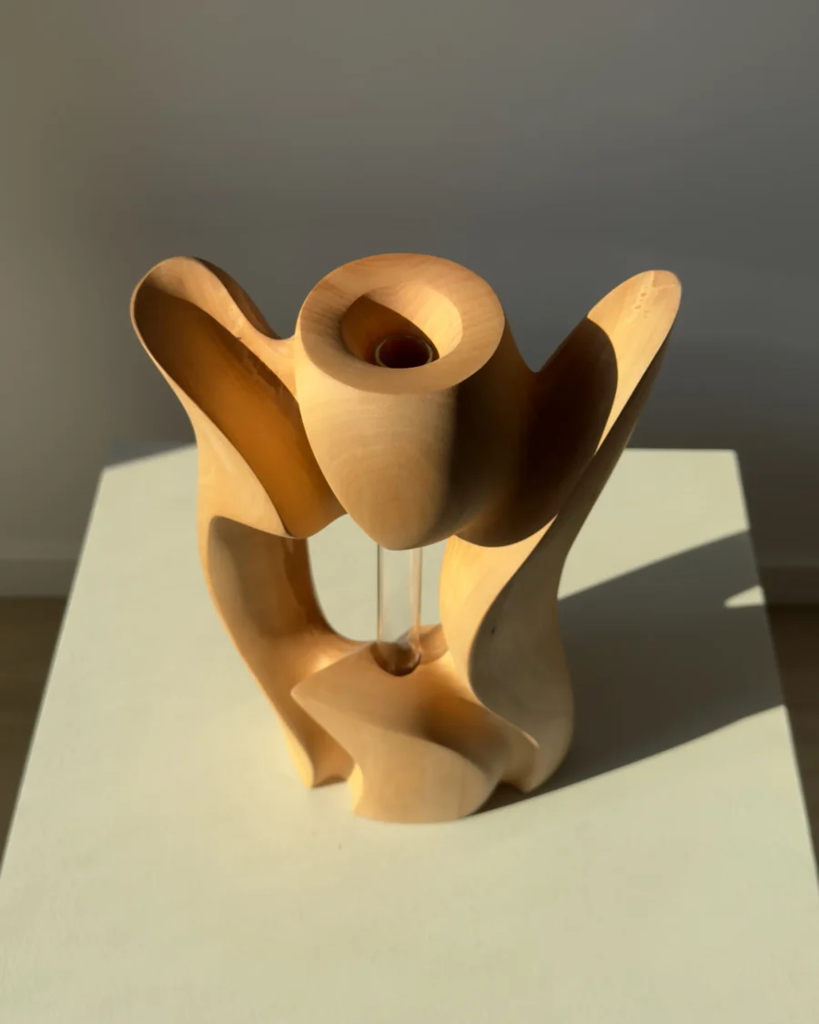 Top view of Lumen hand-carved pear wood sculpture revealing its flowing organic geometry.