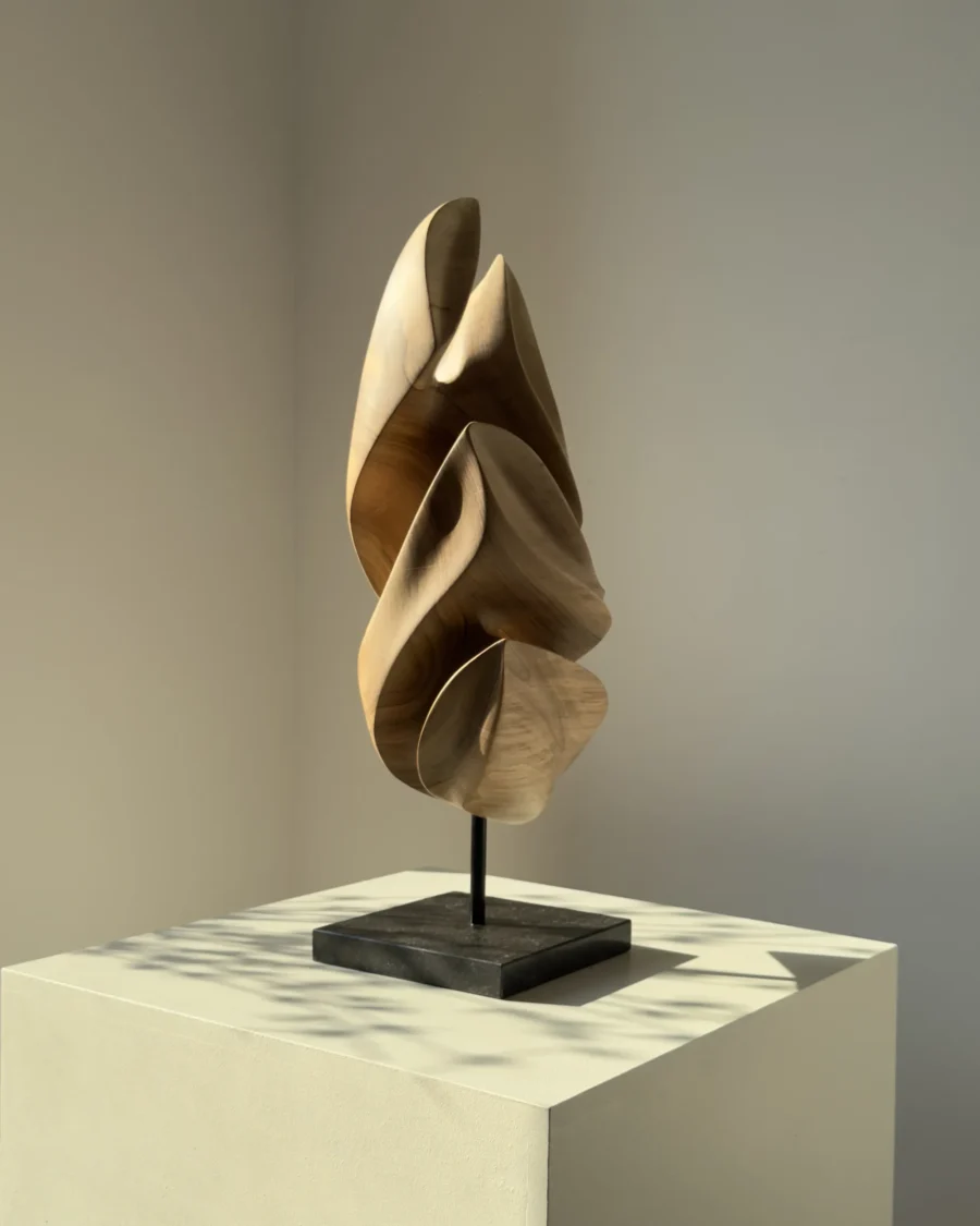 Light and shadow revealing the sculptural curves of Silent Ascent hand-carved walnut sculpture.