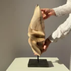 Hand-carved walnut wood sculpture Silent Ascent on a polished black granite base, front view.