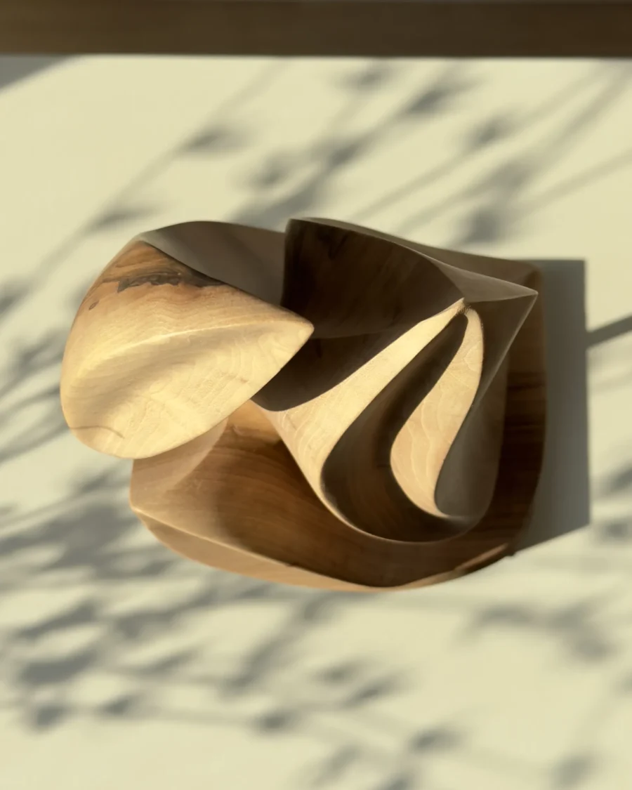 Top view of Silent Ascent abstract walnut sculpture revealing its flowing carved form.