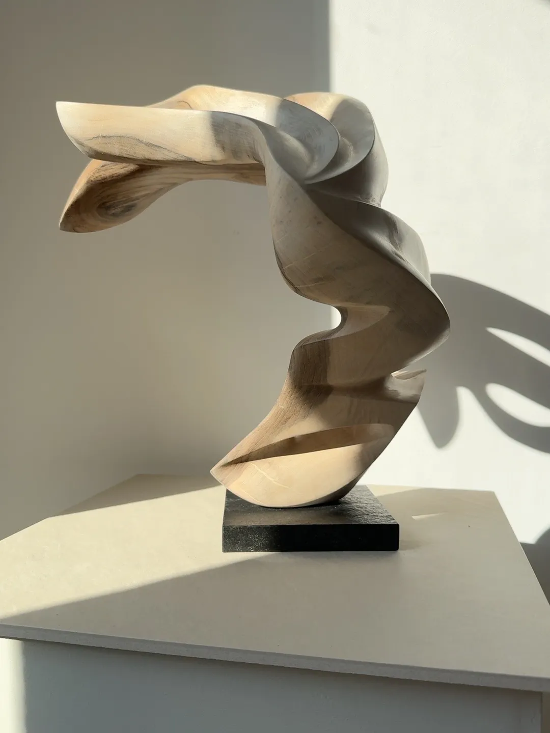 Vertical view of the unfinished orientation of Becoming, showing its sweeping walnut form and strong contrast of light and shadow.