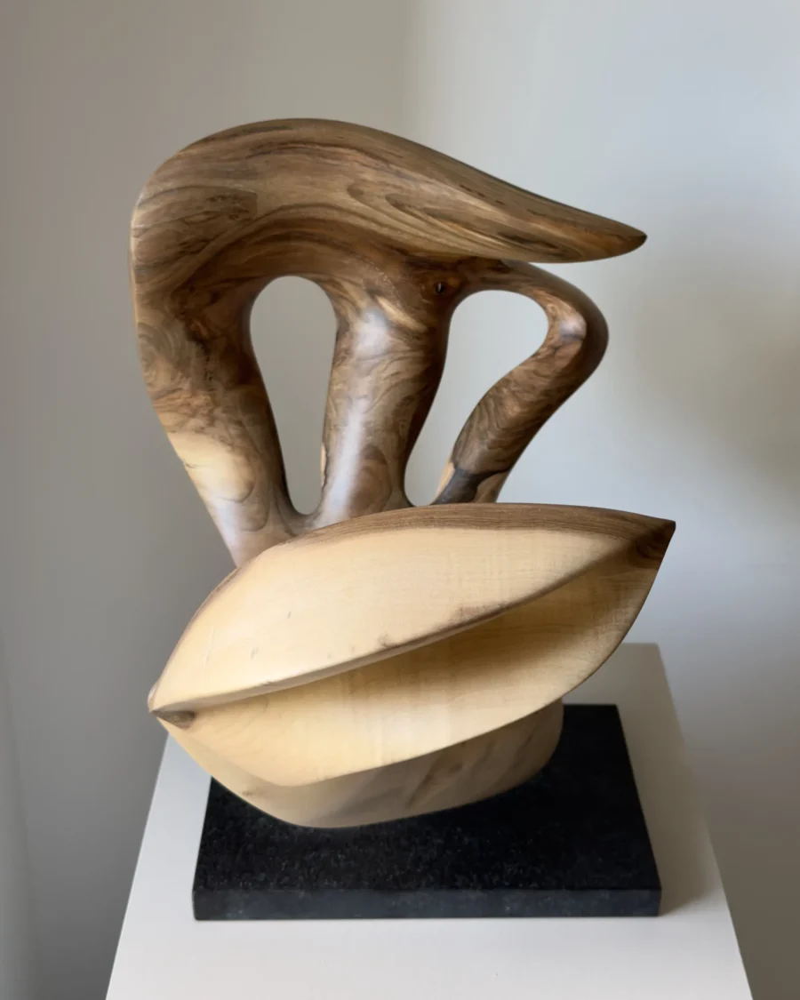 becoming-walnut-sculpture-light-dark-contrast Close view of Becoming held by the artist, showing smooth hand-carved openings, flowing grain and pale walnut surfaces shaped around empty space.