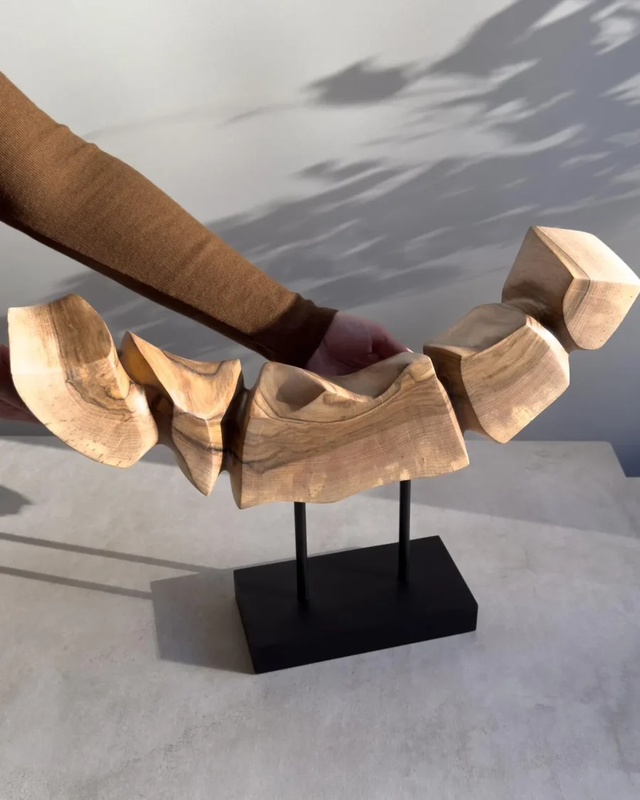 Dynamic Contours