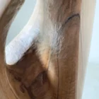 Close-up of Flowing Unity showing natural walnut grain, pale sapwood and darker heartwood