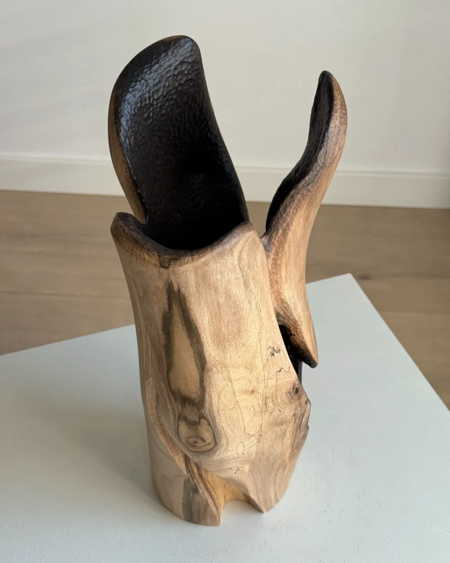 Hollow sculptural walnut vase from the side, revealing a large dark opening beneath a smooth curved section of wood.