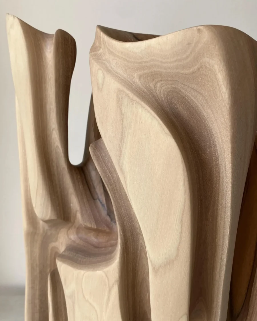Close-up of Interstice abstract wood sculpture showing flowing carved contours and natural wood grain