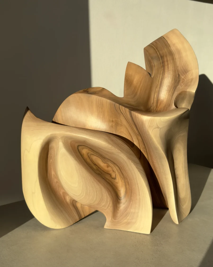 Unfurl abstract walnut sculpture in warm natural sunlight, revealing curved surfaces, deep shadows and contrasting walnut grain.