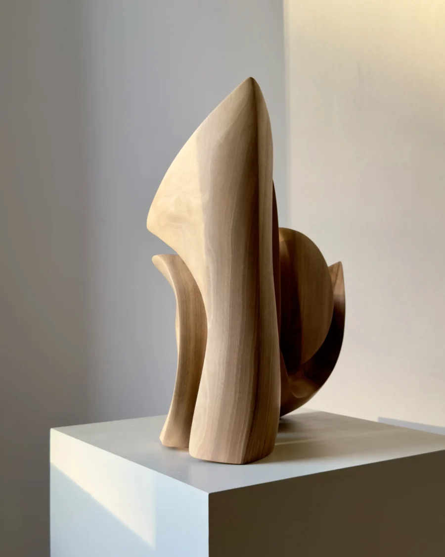 Sunlit side profile of Unfurl walnut sculpture, with warm light tracing the tall carved edge and layered organic silhouette.