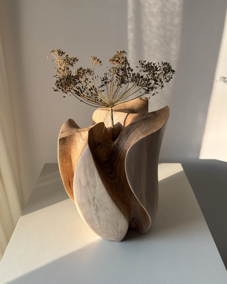 Within with a dried seed head in warm sunlight, highlighting the deep carved interior and sweeping walnut rim.