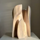Embrace walnut sculpture illuminated by warm natural light, with shadows defining its carved interior spaces