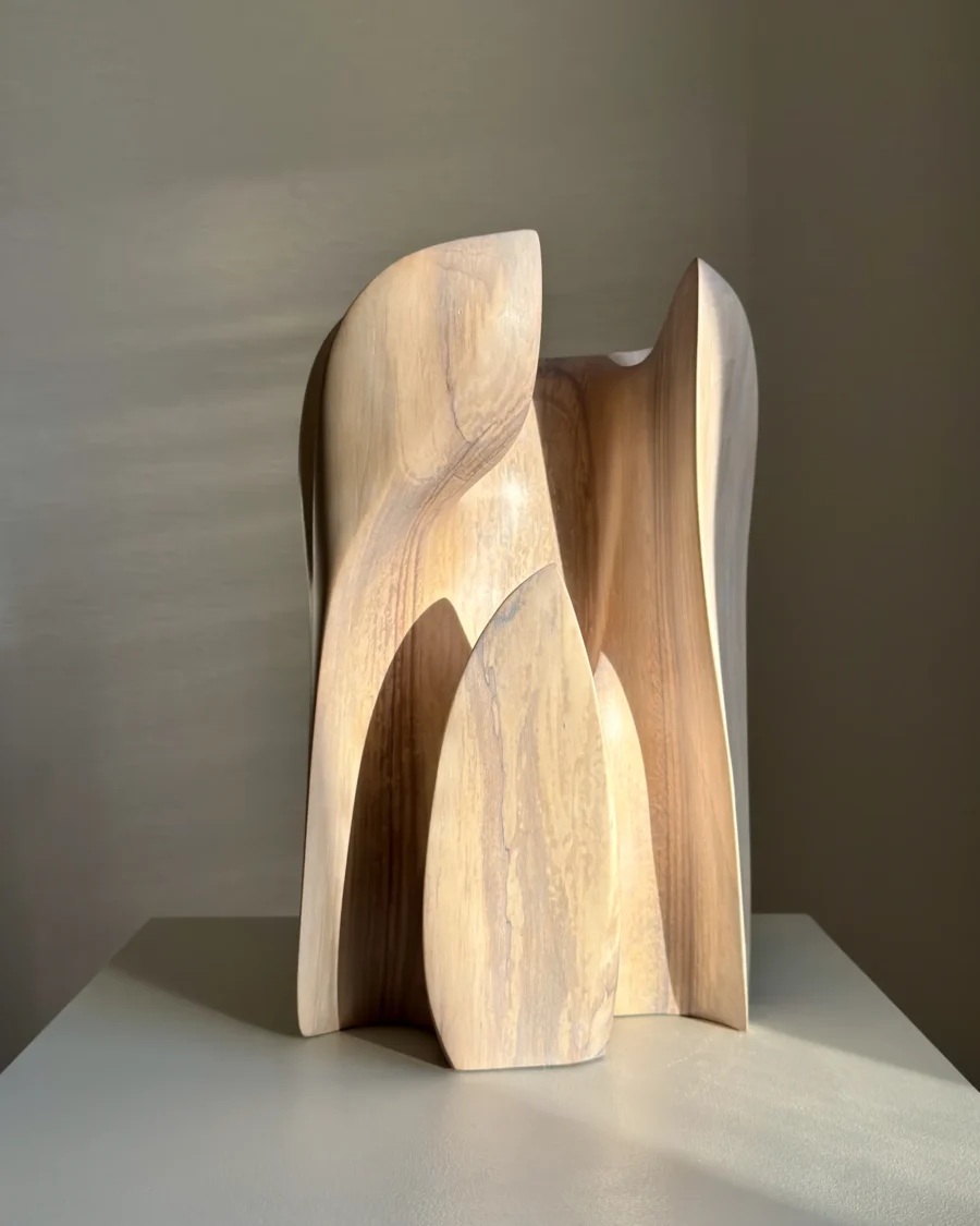 Embrace walnut sculpture illuminated by warm natural light, with shadows defining its carved interior spaces