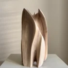 Embrace