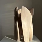 Embrace